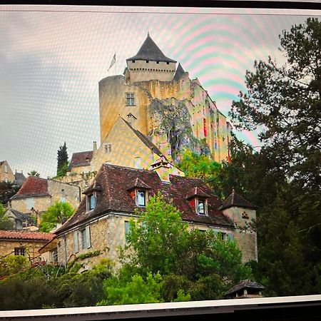 Vue Magique A Castelnaud别墅 外观 照片